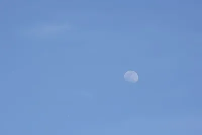 DSC_2329 (Large).JPG